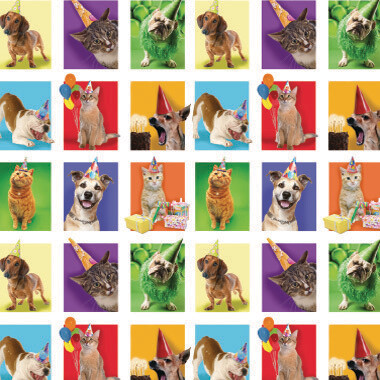 ROULEAU DE PAPIER CHAT ET CHIEN(N1-1)