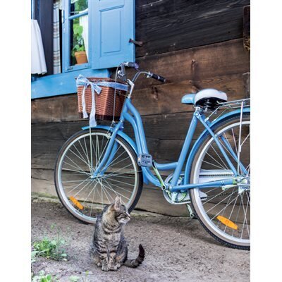 Cahier spiral 8.5x11 Vélo/chat  couvert plastique 80fls (K1-9)