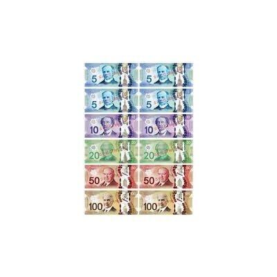 Apprendre dollars canadiens (12 pièces) foam  (I1-6)