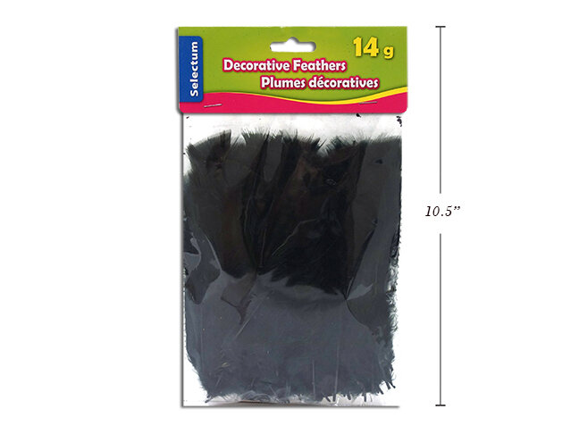 Plumes décoratives noires  (K4-7)