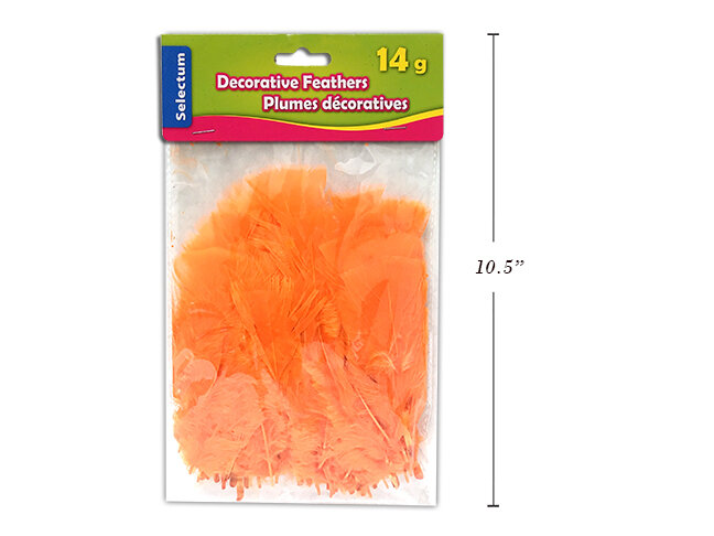 Plumes décoratives orange   (K4-7)