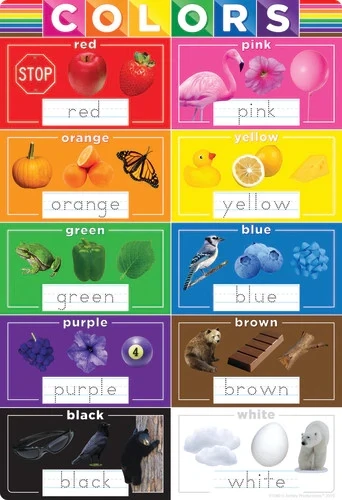 Tableau Apprendre les couleurs Anglais PVC RV 13x19