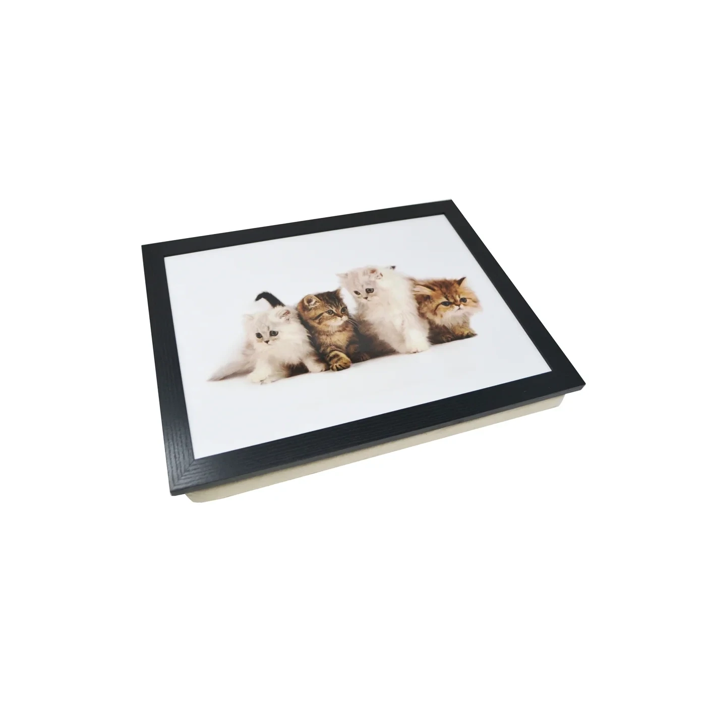 PLATEAU COUSSINE CHATONS(J3-4)