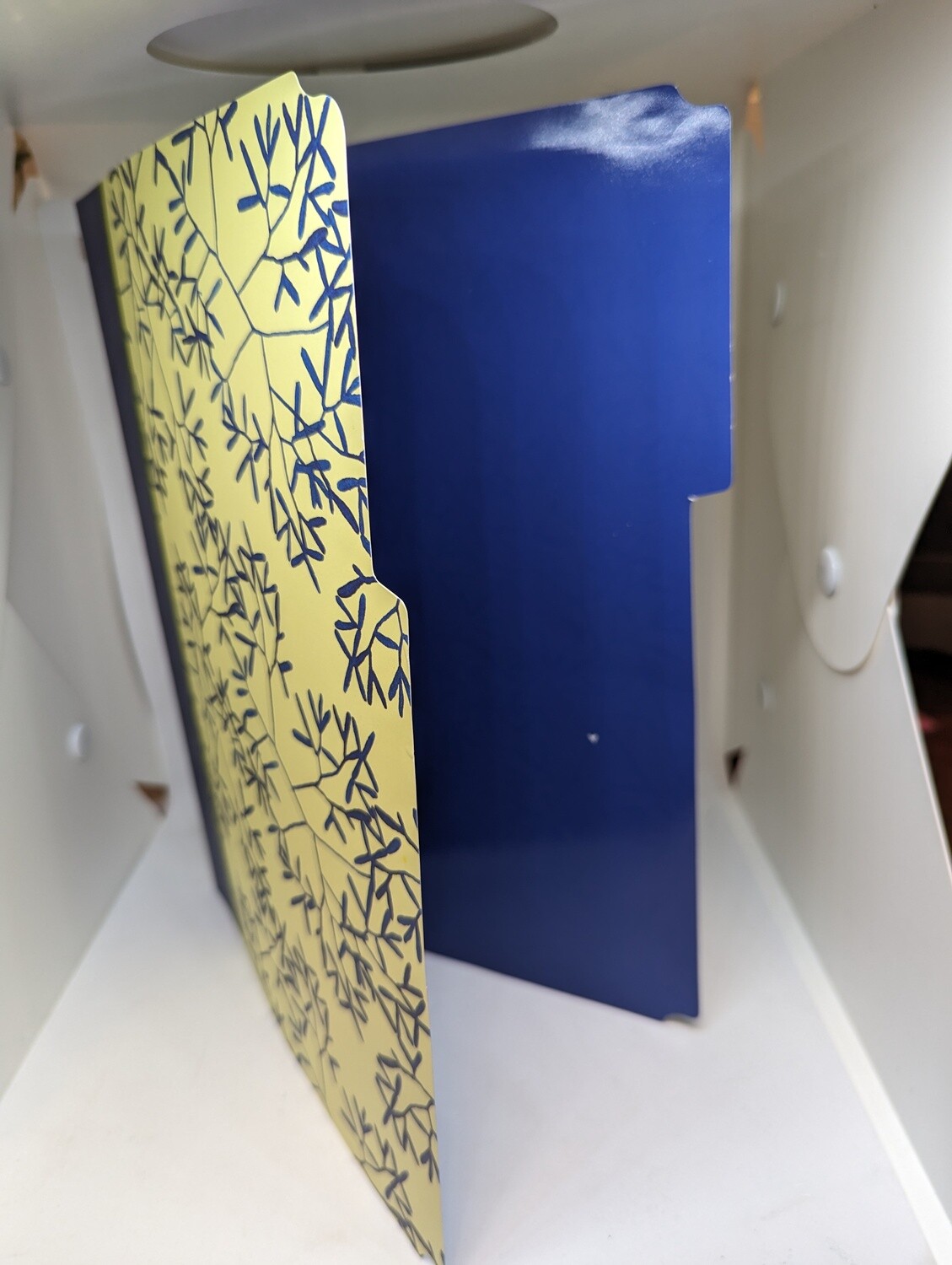 ENSEMBLE DE 6 CHEMISES FORMAT LETTRE (I1-7)