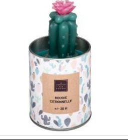 BOUGIE PARFUMÉ À LA CITRONNELLE 125G (RW)