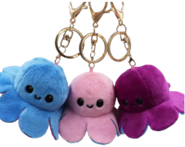 PORTE CLE PIEUVRE REVERSIBLE(G2)