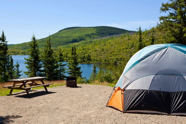 JARDIN ET CAMPING