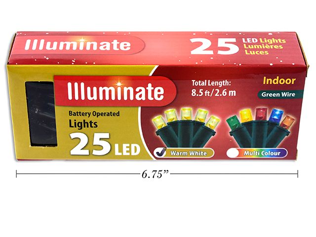 GUIRLANDE LUMINEUSE( 25 LED)BLANC DOUX(G2)