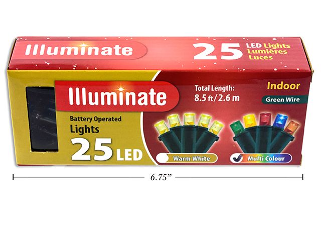 GUIRLANDE LUMINEUSE (25 LED) MULTI COULEURS(G2)