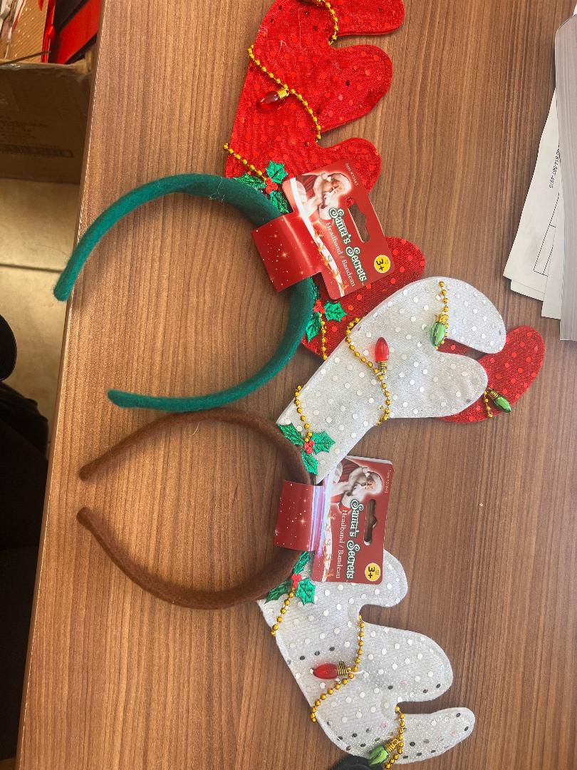 BANDEAU FANTAISIE RENNES(G1)