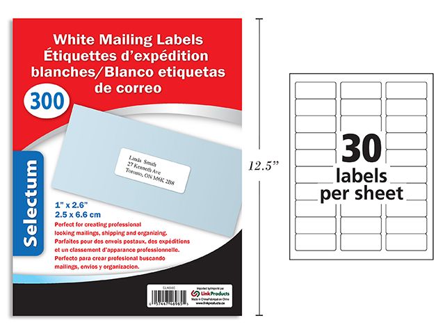 ÉTIQUETTE D&#39;EXPÉDITION BLANCHE 300MCX 1X 2.5/8(RW)