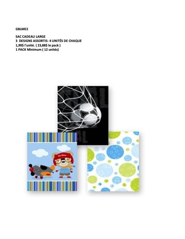 SAC CADEAU LARGE  SPORT (D3-6)