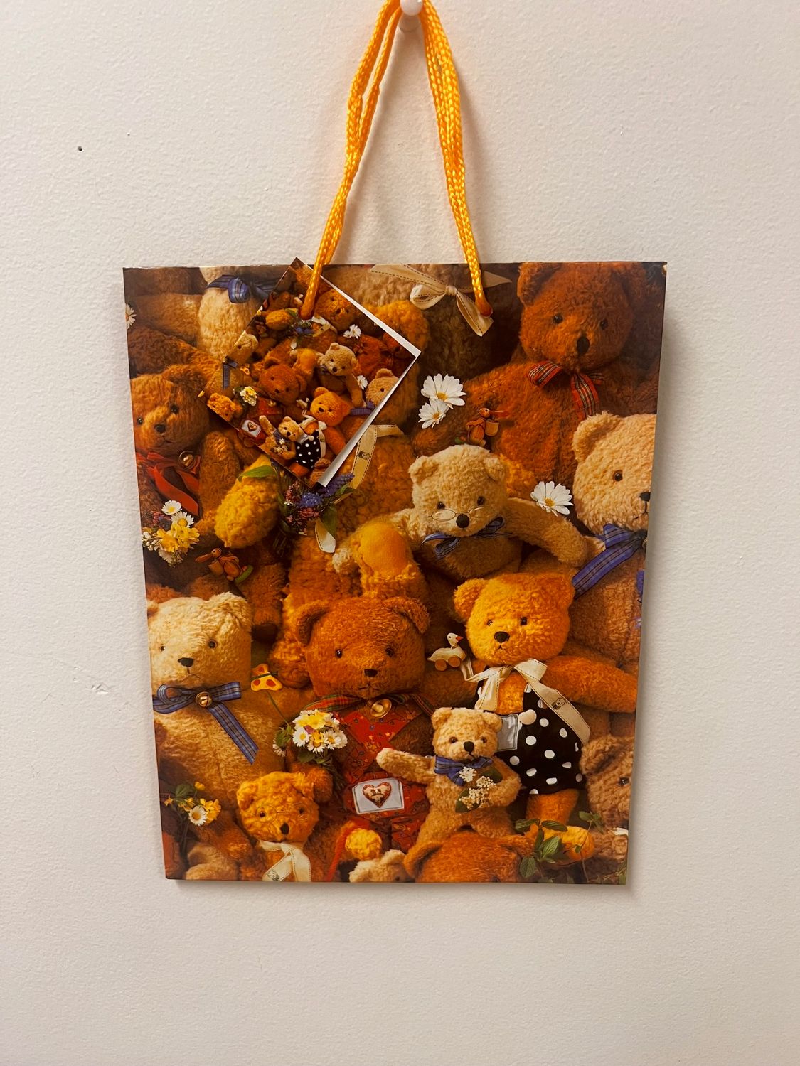 SAC CADEAU MOYEN OURSON EN PELUCHE(C4-6)