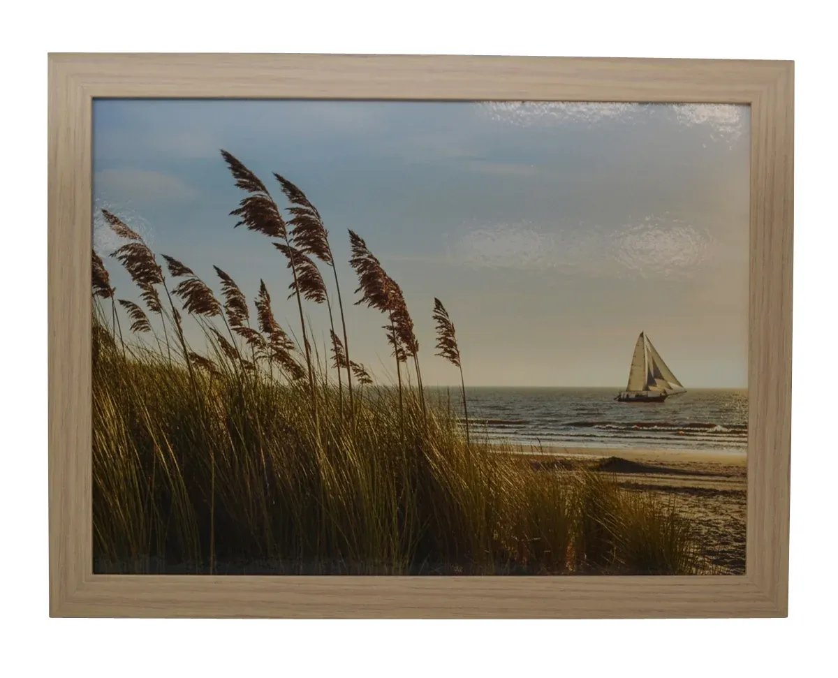 PLATEAU COUSSINÉ DE LECTURE PLAGE ET PAMPAS
