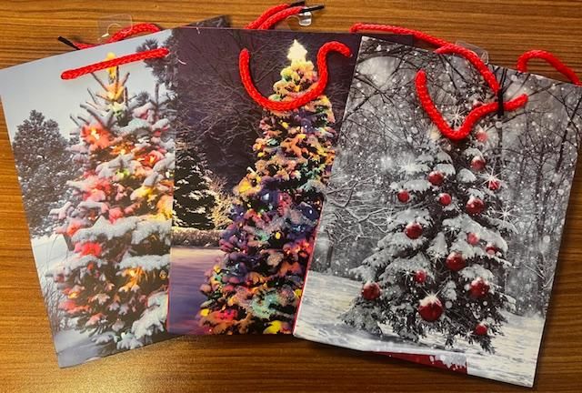 SAC CADEAU MOYEN SAPIN NOEL