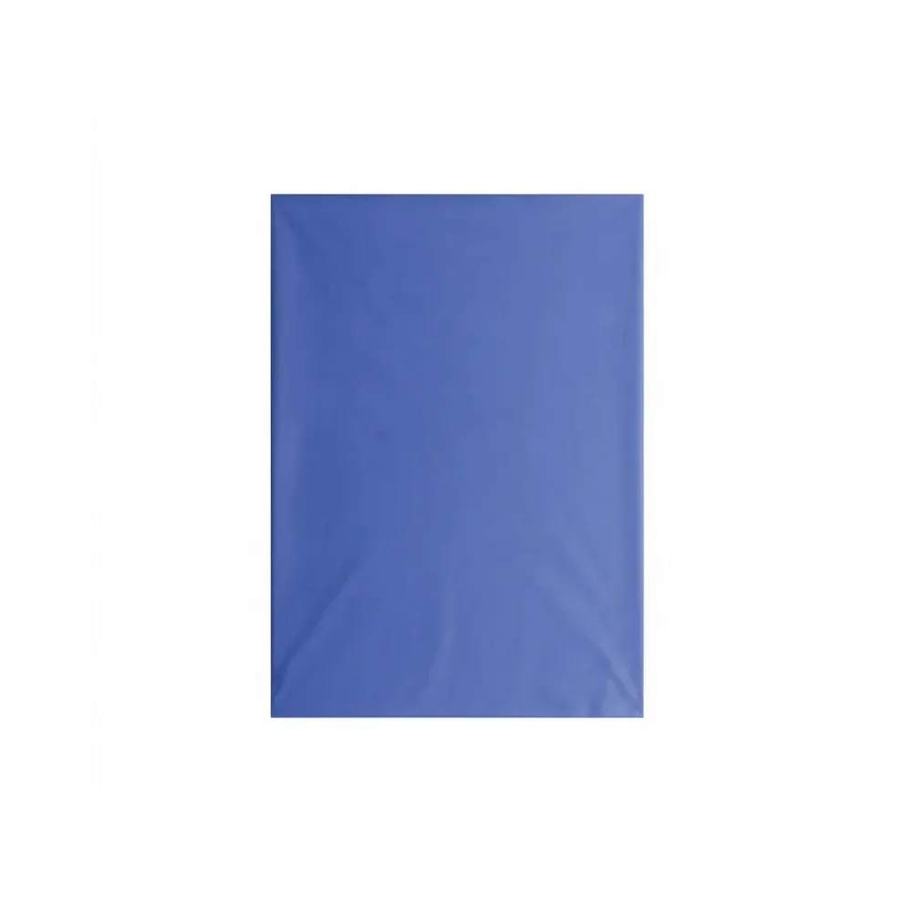NAPPE DE PLASTIQUE BLEU 54x108 (D1-2)