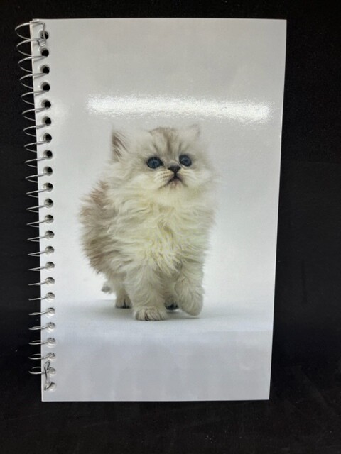 CAHIER DE NOTE 5X 8 160 PAGES ANIMAUX (K1-4)