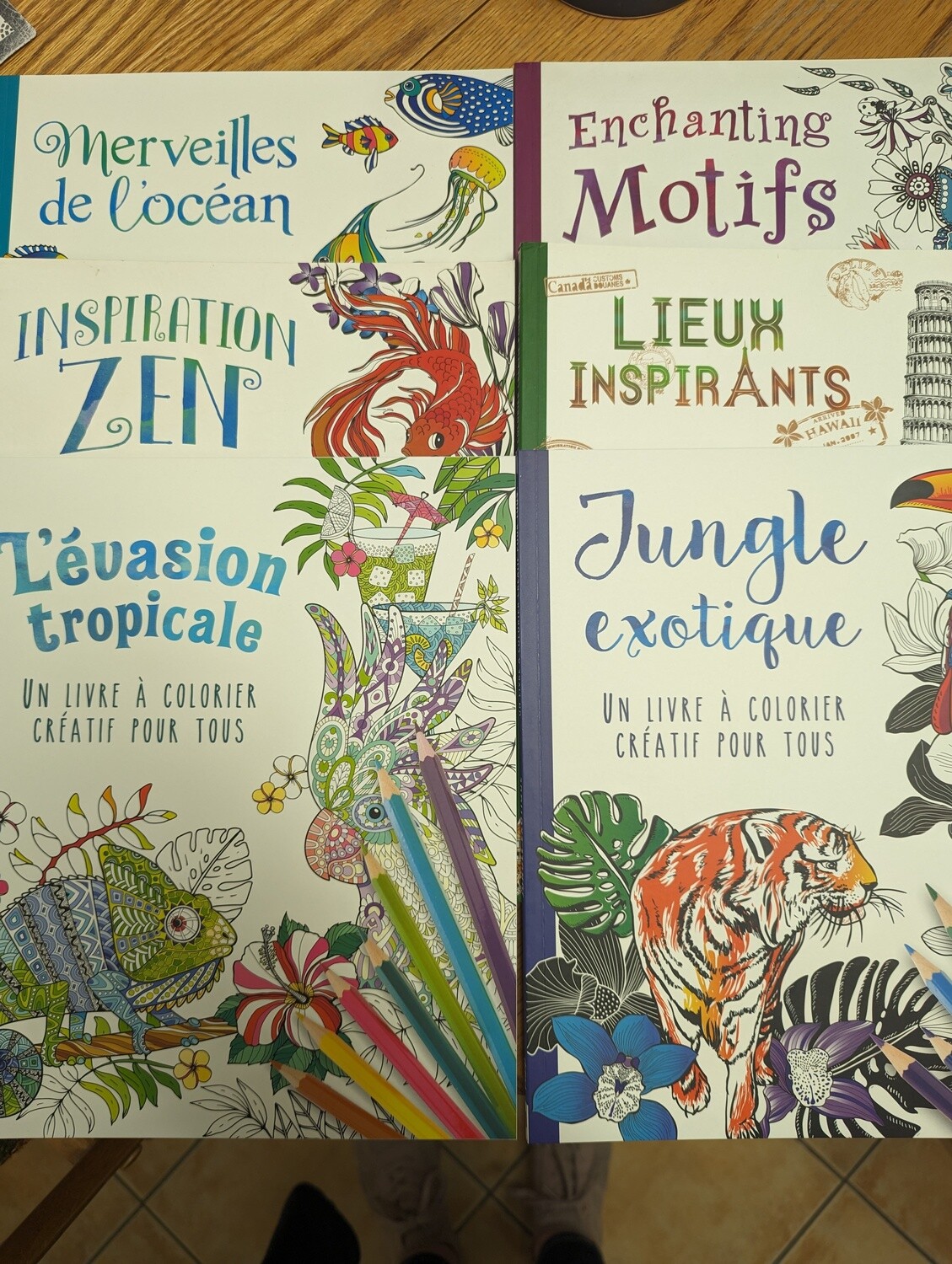LIVRE A COLORIER POUR  TOUS  ASST.9 (A2-1)(DIS)
