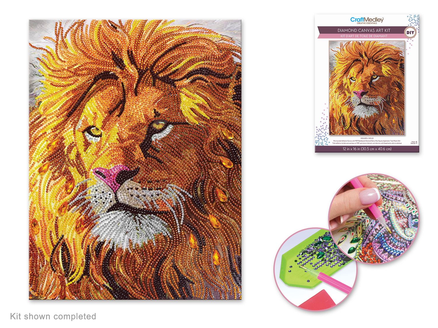 DIAMONT PAINTING 12 X 16'' LION(B5-1)