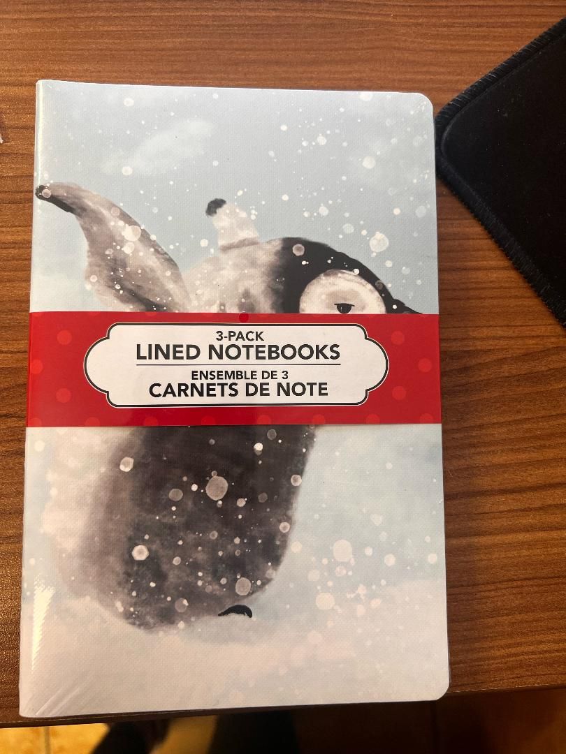 ENSEMBLE DE 3 CARNET DE NOTES DE NOEL ASST(N3-1)