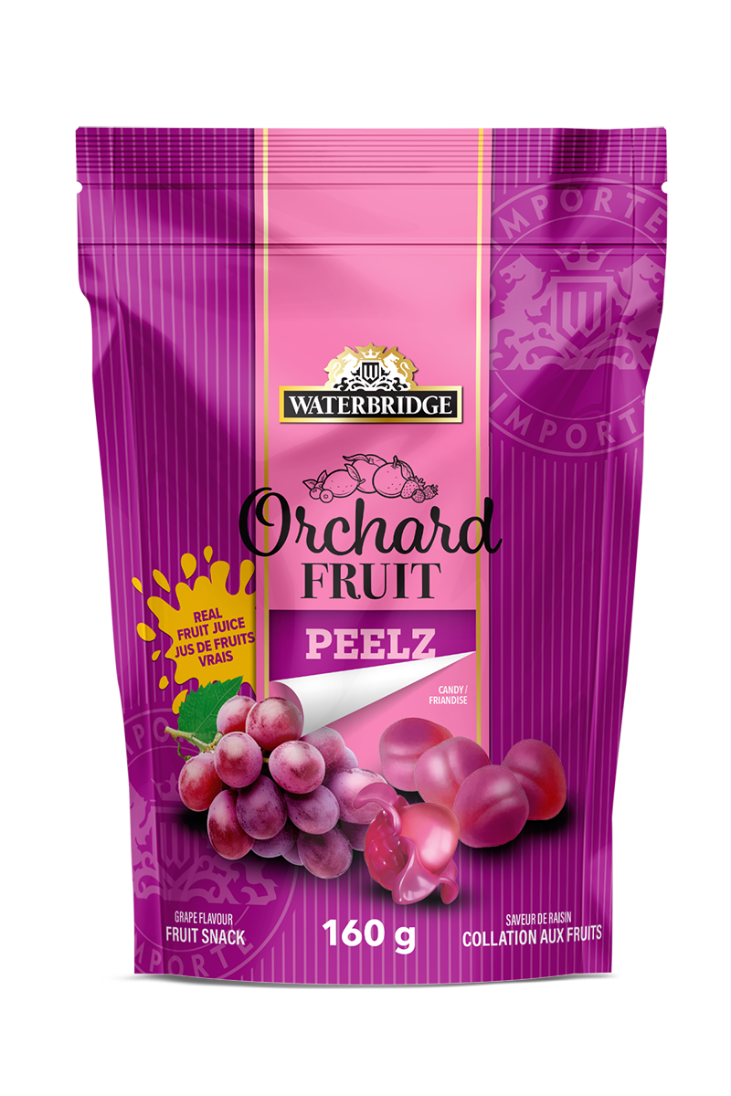 COLLATION AUX FRUITS (RAISINS) A EPLUCHER  160g