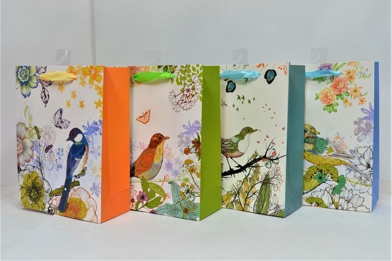 SACS CADEAUX GROS OISEAUX BRILLANTS ASST(C3-6)