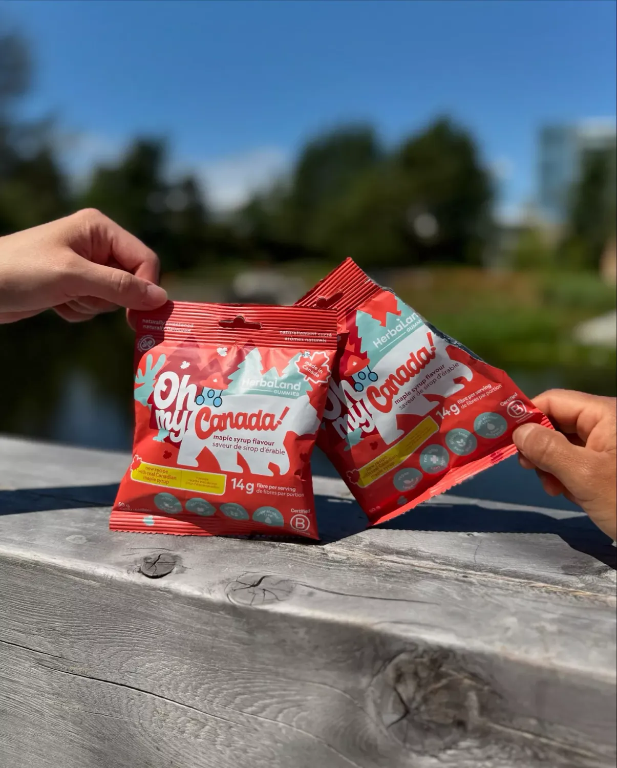 Gommes collation Oh My Canada! – véritable érable 50 g – 12 unités