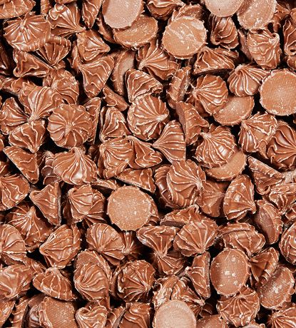 Rosettes Au Chocolat 6 x 125g (AKRO)(2.42 unité)