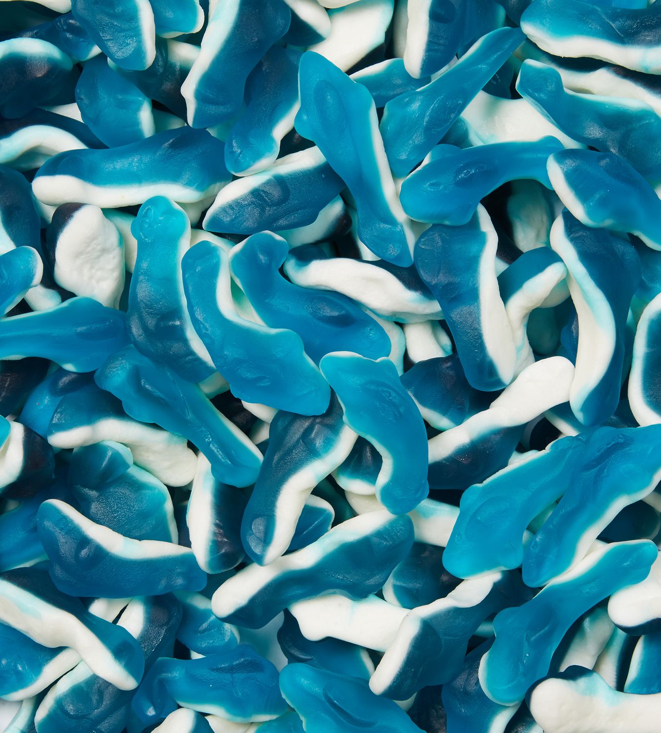 Requin Bleu 6 x 125g (AKRO)(2.42 UNITÉ)