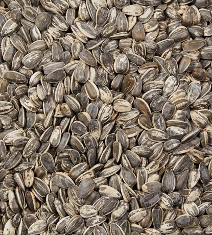 GRAINE DE TOURNESOL EN ÉCALE SALÉE (AKRO) 6 X200 GR (2.95 UNITÉ)