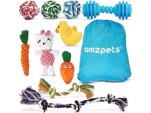 ENSEMBLE DE 10 JOUETS POUR CHIOTS NOUÉS (ASSTD)
