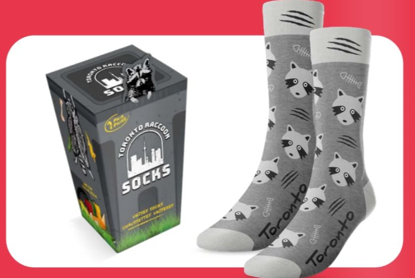 (ML)PRESENTOIR CHAUSSETTES RATON LAVEUR TORONTO