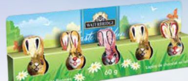 WB CHOCOLAT LAPIN VIDE 5 MCX