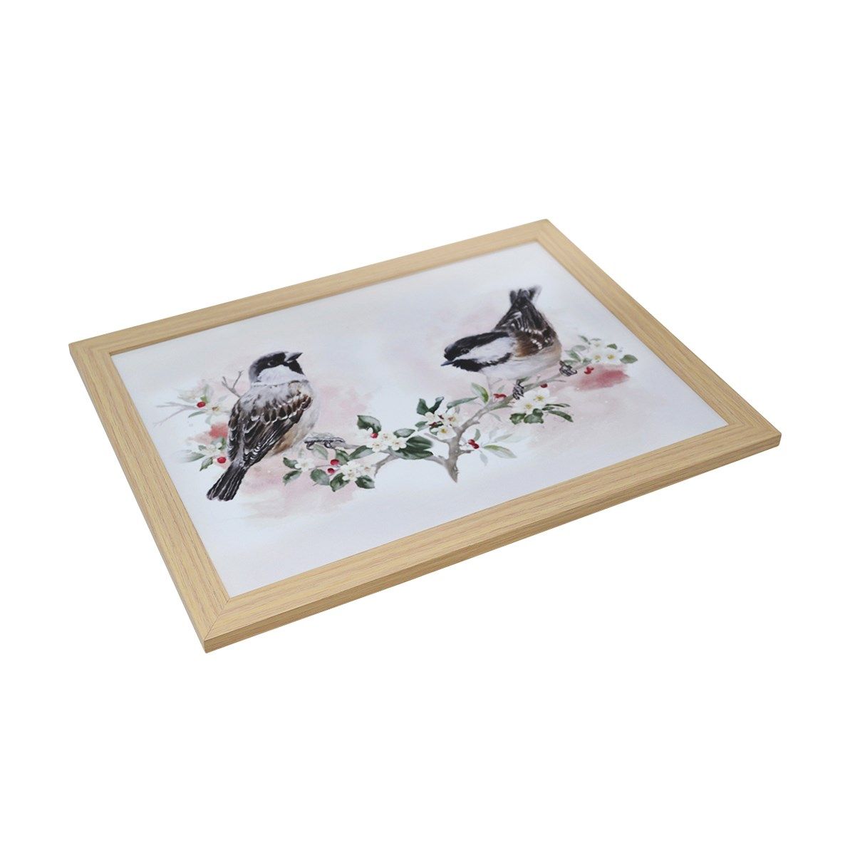PLATEAU DE LECTURE OISEAUX(H5-6)