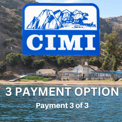 Three Payments Option - 3 of 3 (due Jan. 13)