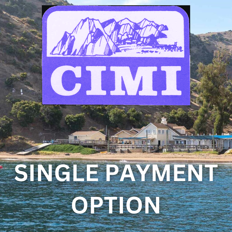 Single Payment Option