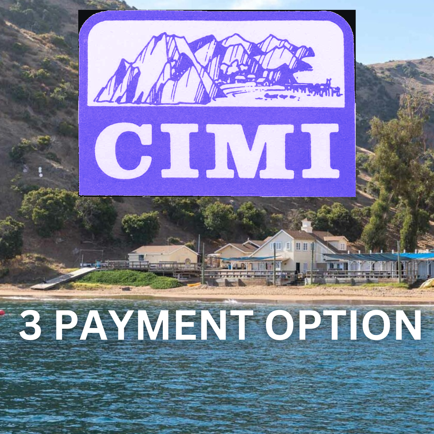 Three Payments Option