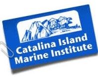 Four Payments Option