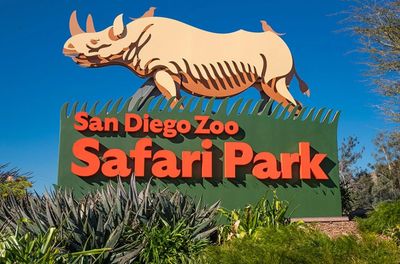 San Diego Safari Park Overnight Trip