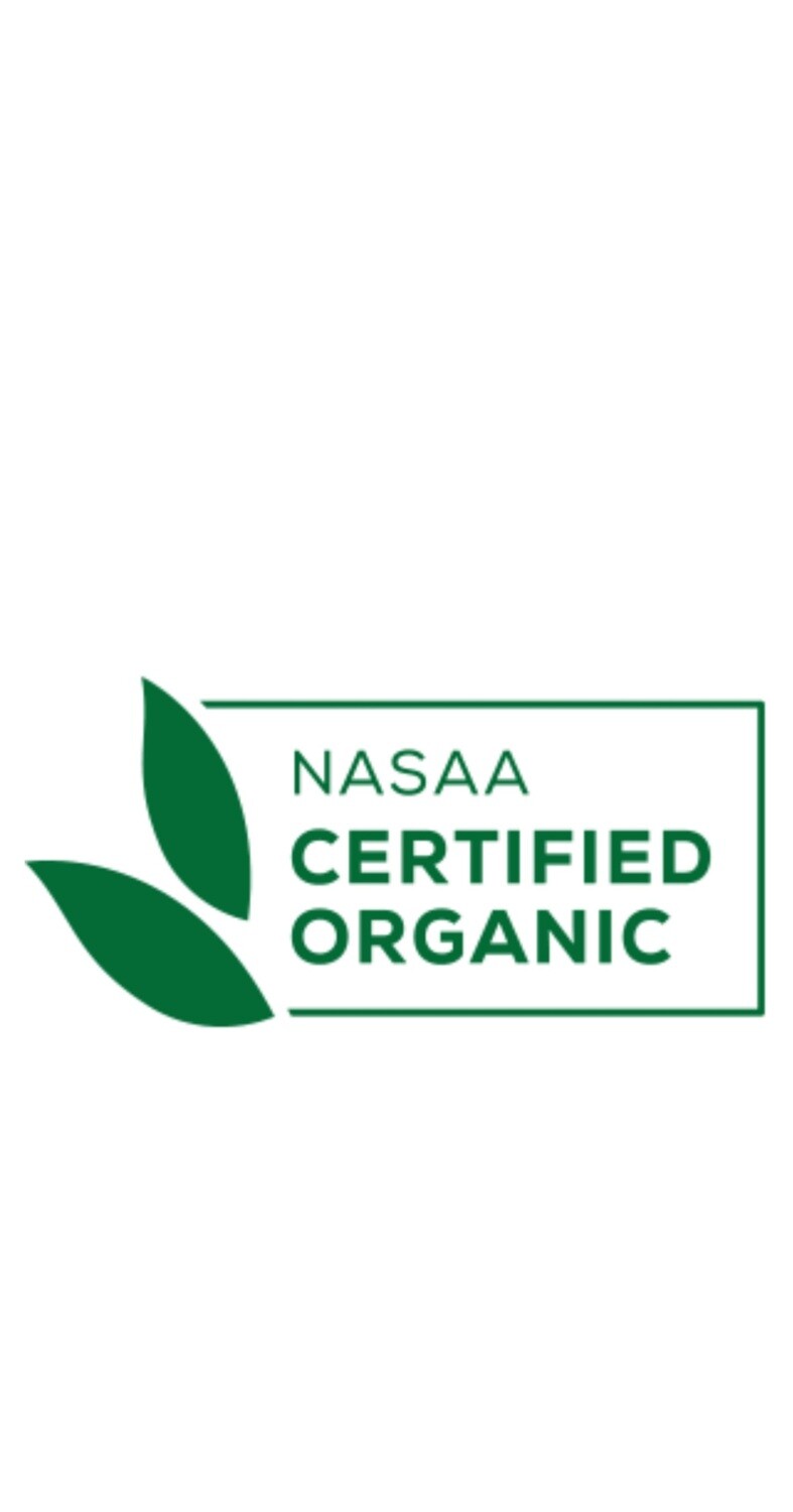 L&#39;Abruzzese Organic Spaghetti 300g