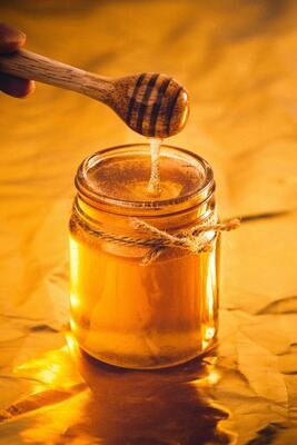 Organic Honey and honeycomb