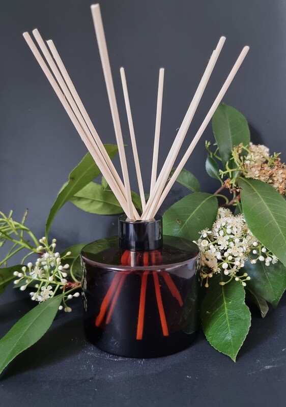 Amber Reed Diffuser