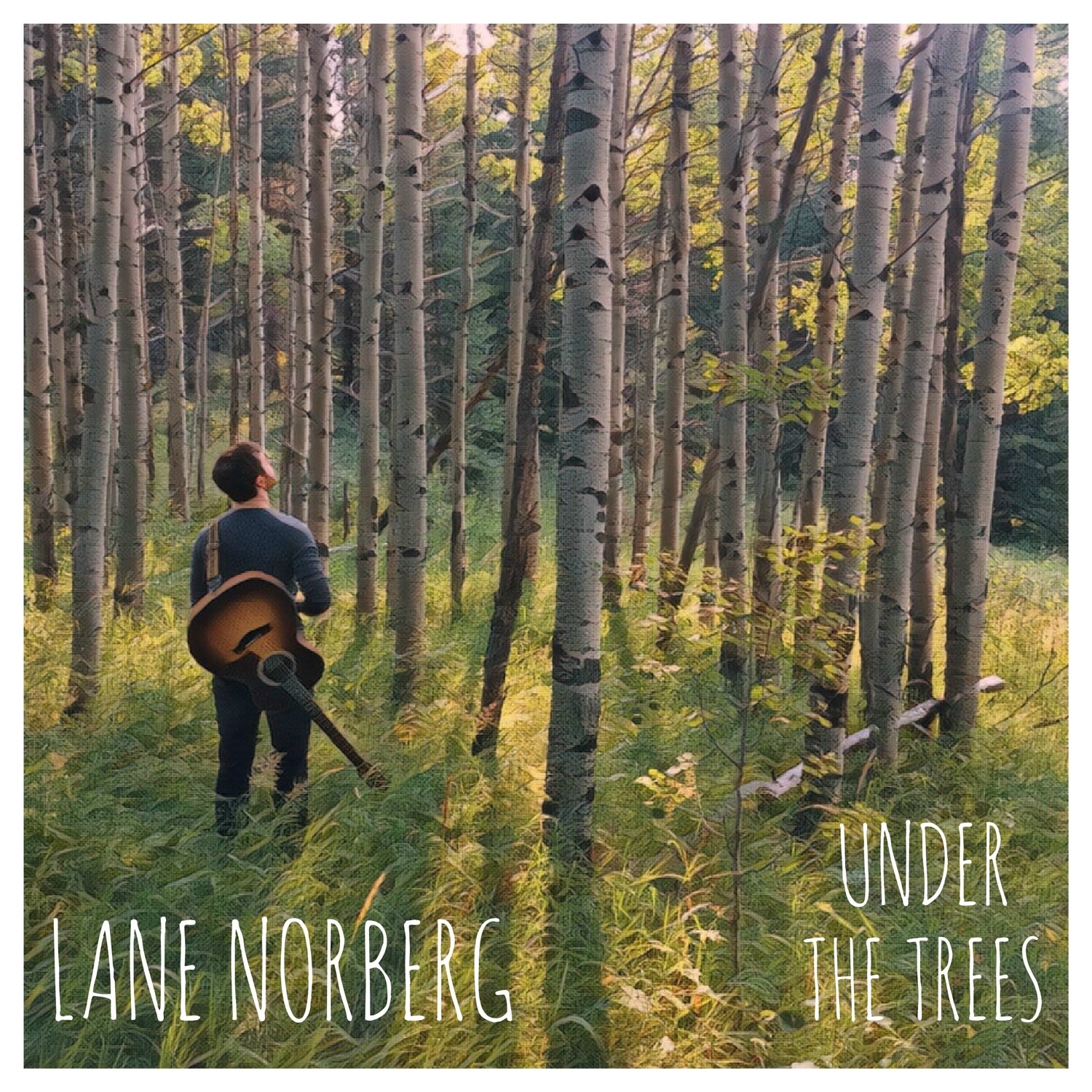 'Under the Trees' CD