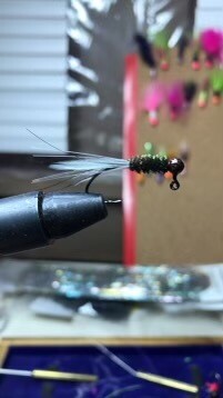 Hackle