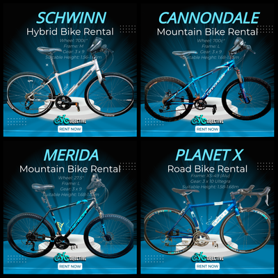 Bicycle Rental