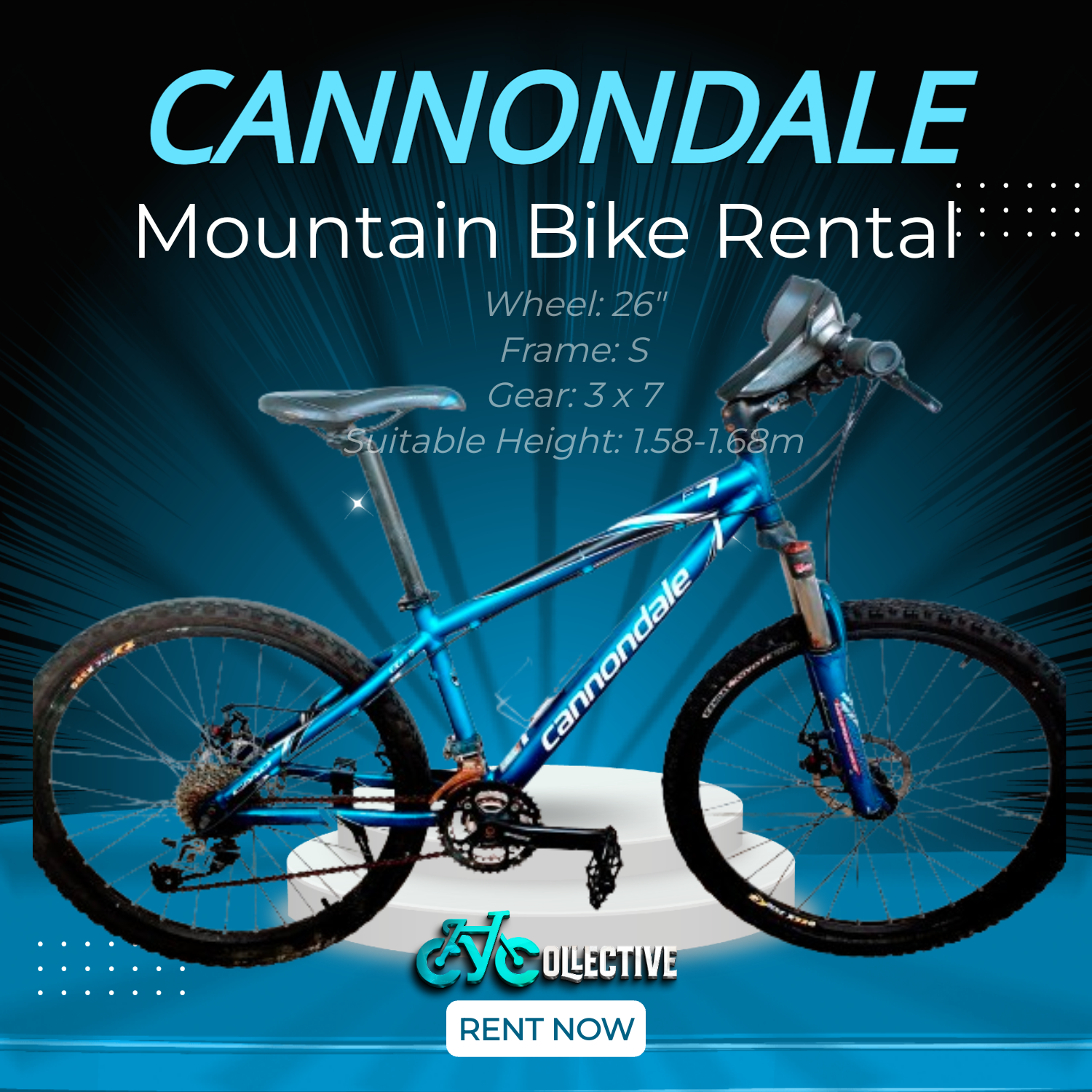[MTB] Cannondale Bike Rental