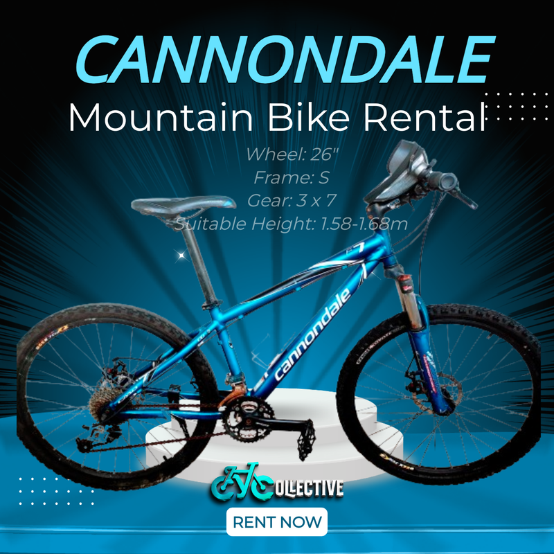 [MTB] Cannondale Bike Rental