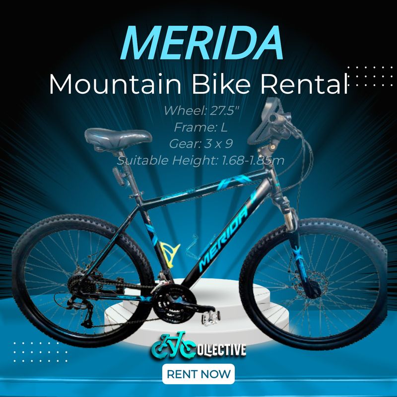 [MTB] Merida Bike Rental