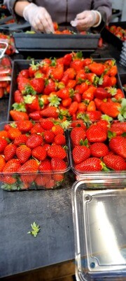 1kg Punnet Strawberry - Small/Medium