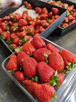 1kg Punnet Strawberry- Medium/Large